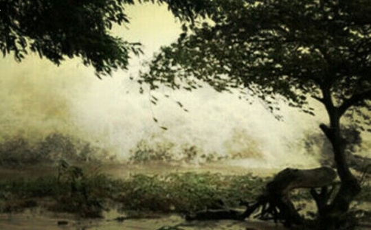 Ký ức ngày bão về