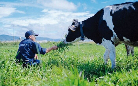 Vinamilk phối hợp với Cục Thú y: Xây dựng vùng chăn nuôi bò sữa an toàn dịch bệnh