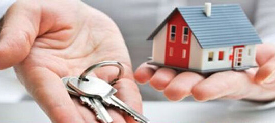 Công ty TNHH Tư vấn Sổ Đỏ: Hỗ trợ giải quyết các hồ sơ đất đai phức tạp