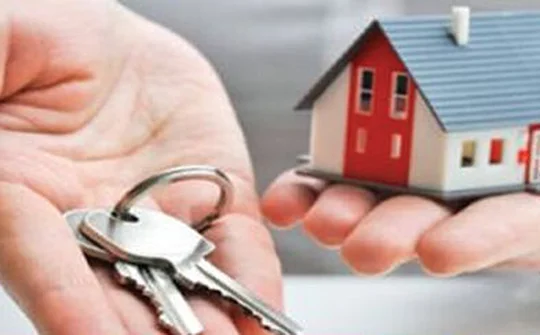 Công ty TNHH Tư vấn Sổ Đỏ: Hỗ trợ giải quyết các hồ sơ đất đai phức tạp