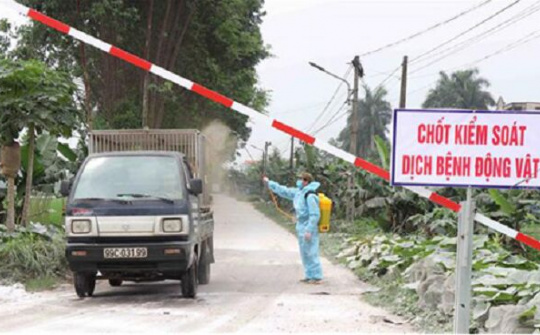 Hà Lan chia sẻ kinh nghiệm ngăn chặn dịch tả lợn Châu Phi với Việt Nam