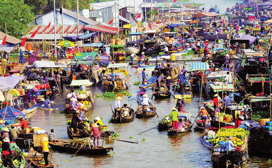 Về Phong Điền Vùng đất ngọt ngào hương vị miền Tây