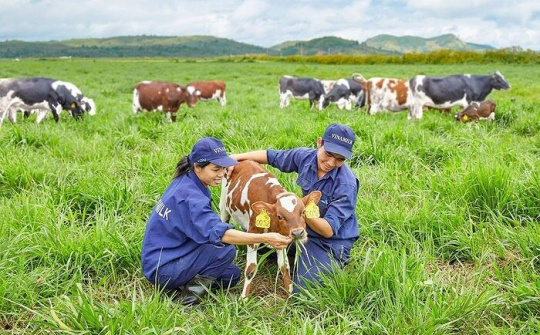 Vinamilk tiếp tục nằm trong tốp doanh nghiệp xuất sắc châu Á