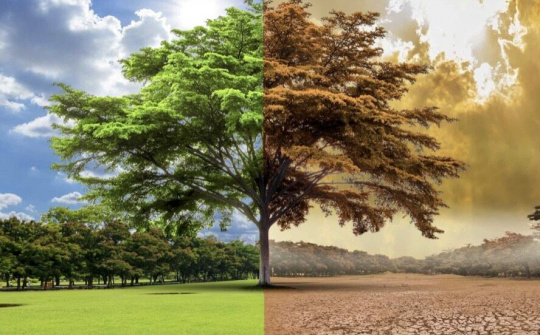 Thiên nhiên điêu đứng