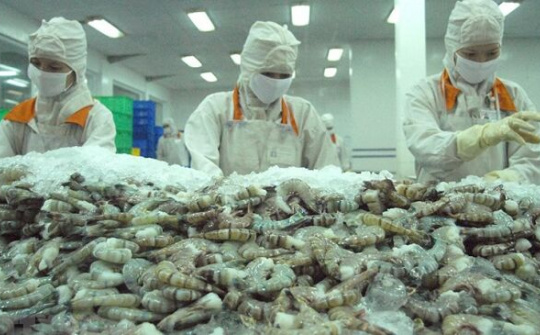 Doanh nghiệp Việt  xuất khẩu tôm sang thị trường Mỹ hưởng mức thuế 0%