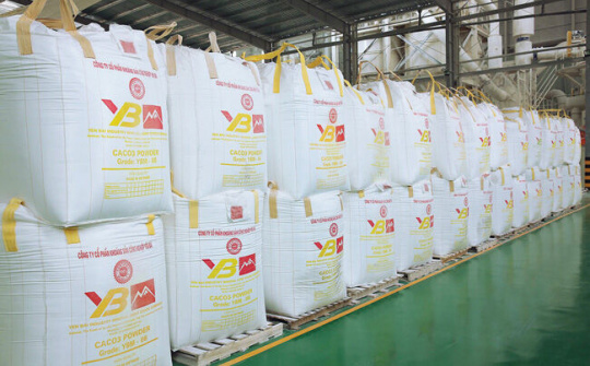 Tự tin vươn mình ra biển lớn