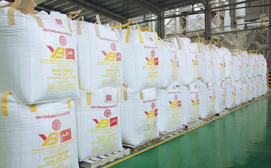Tự tin vươn mình ra biển lớn
