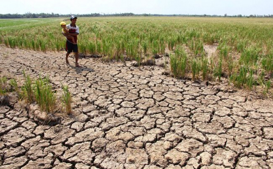 Hạn hán Miền Trung: Thiên nhiên khắc nghiệt