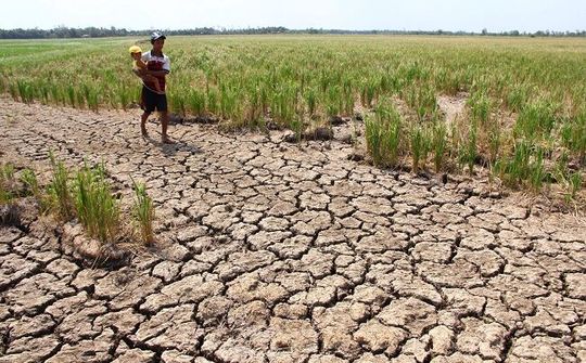 Hạn hán Miền Trung: Thiên nhiên khắc nghiệt