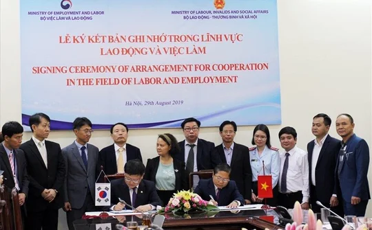 Việt Nam và Hàn Quốc cùng xây dựng mạng thông tin dịch vụ việc làm