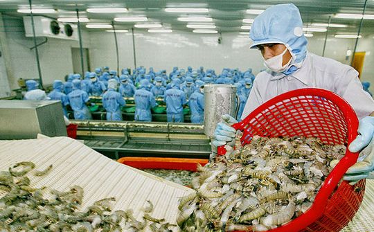 Những điều doanh nghiệp cần lưu ý khi xuất khẩu hàng hóa sang Hoa Kỳ