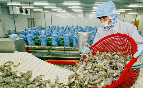 Những điều doanh nghiệp cần lưu ý khi xuất khẩu hàng hóa sang Hoa Kỳ