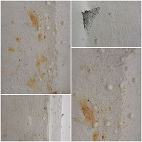 Phía sau nghi vấn sơn Mykolor “phủi tay” trách nhiệm?: 4 Oranges có đang “tự đá bóng tự thổi còi”?