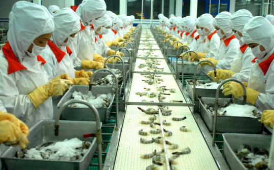Xuất khẩu tôm khởi sắc, tăng tốc dịp cuối năm