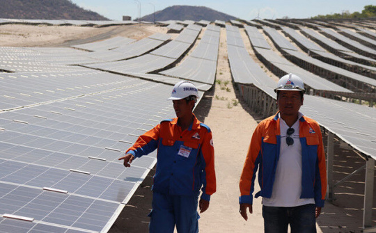 Kiên Giang tiếp tục đẩy mạnh cơ cấu lại ngành kinh tế thủy sản