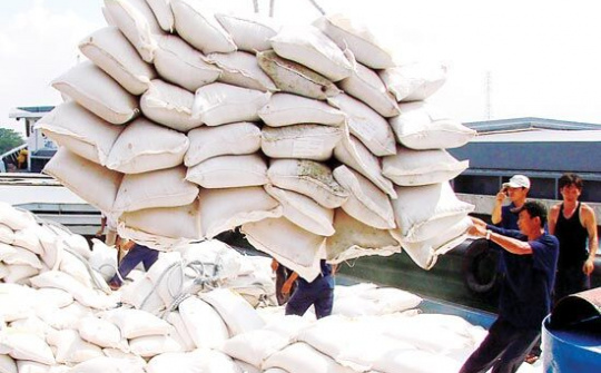 Thị trường xuất khẩu gạo năm 2019 cạnh tranh khốc liệt