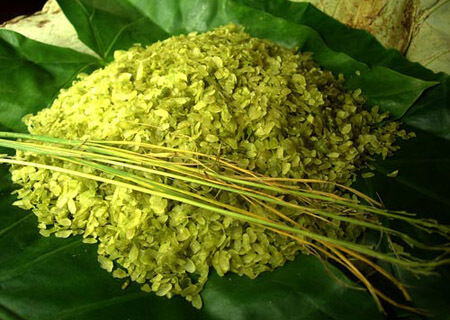 Đặc sản "Cốm làng Vòng” đón chào mùa thu