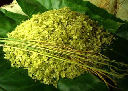 Đặc sản "Cốm làng Vòng” đón chào mùa thu