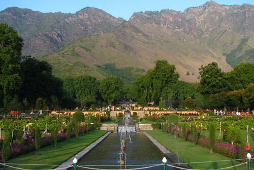 Tổng thống Pakistan kêu gọi Ấn Độ dỡ bỏ mọi hạn chế tại Kashmir