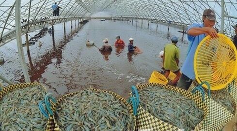 Doanh nghiệp xuất khẩu sang Mỹ cần làm gì khi kinh tế thế giới đang phức tạp?