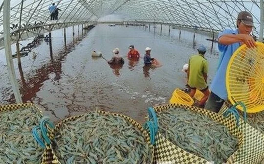 Doanh nghiệp xuất khẩu sang Mỹ cần làm gì khi kinh tế thế giới đang phức tạp?
