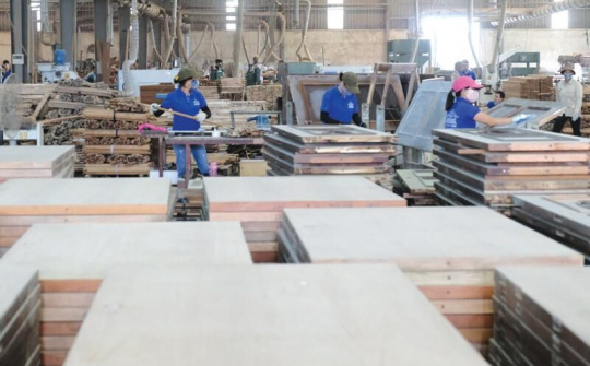 Cần thận trọng với gian lận xuất xứ trong ngành gỗ