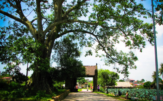 Hà Nội Quyết định công nhận Làng cổ Đường Lâm là điểm du lịch