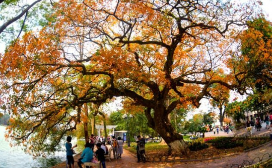 Tổ chức chương trình nghệ thuật đặc biệt nhớ mùa thu Hà Nội