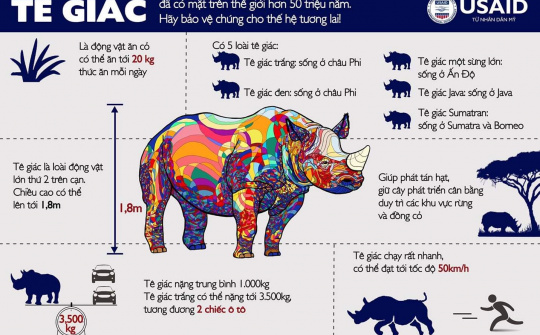 Trách nhiệm xã hội của doanh nghiệp trong hoạt động bảo vệ động vật hoang dã