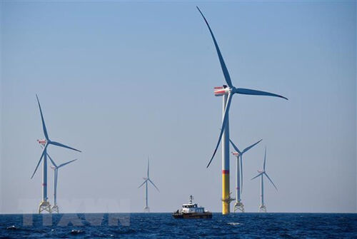 Gần một nửa sản lượng điện ở Đức đến từ các nguồn năng lượng tái tạo