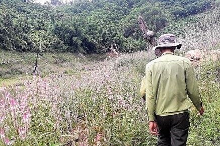 BQL rừng phòng hộ Thạch Nham: Công tác bảo vệ rừng không những là nhiệm vụ mà còn là cái nghiệp