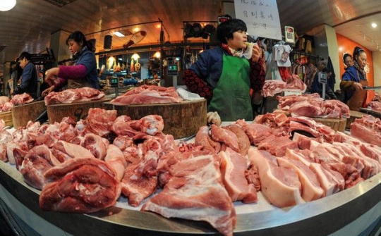 Thịt lợn Trung Quốc khan hiếm tới mức thương lái Trung Quốc phải mua thịt lợn từ Việt Nam