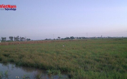 Thái Bình: Cần sớm giải quyết vướng mắc tại dự án mở rộng CCN Minh Lãng