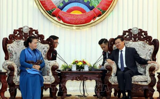 Việt Nam luôn ủng hộ công cuộc đổi mới ở Lào