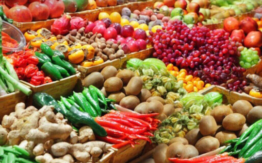 Phát triển công nghệ chế biến giúp tăng giá trị Nông sản Việt