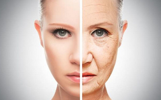 Phương pháp về chống lão hóa cho con người
