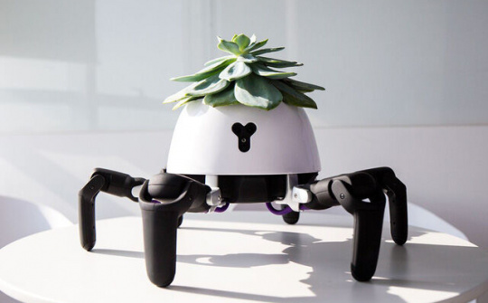 Robot trồng cây có thể tự tới chỗ có ánh sáng