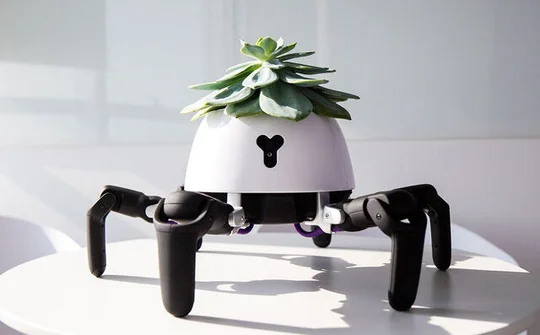 Robot trồng cây có thể tự tới chỗ có ánh sáng