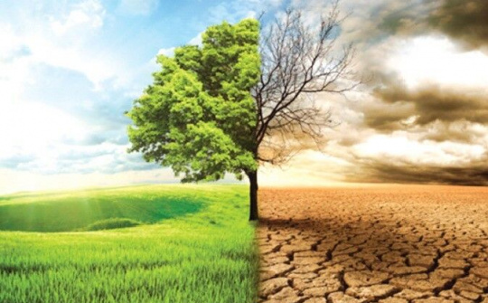 Thế giới đã làm gì trong cuộc chiến chống biến đổi khí hậu?