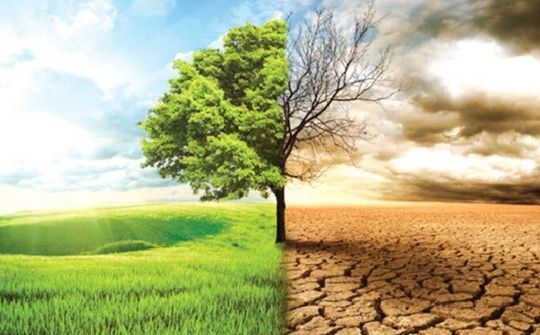 Thế giới đã làm gì trong cuộc chiến chống biến đổi khí hậu?
