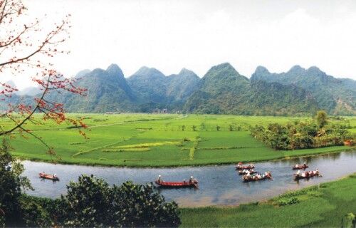 Sẽ xử lý nghiêm vi phạm về bảo tồn, phát triển bền vững các hệ sinh thái tự nhiên