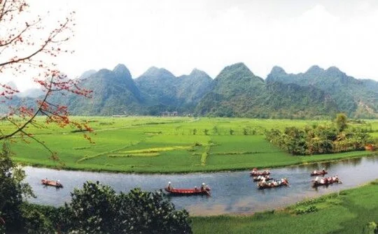 Sẽ xử lý nghiêm vi phạm về bảo tồn, phát triển bền vững các hệ sinh thái tự nhiên