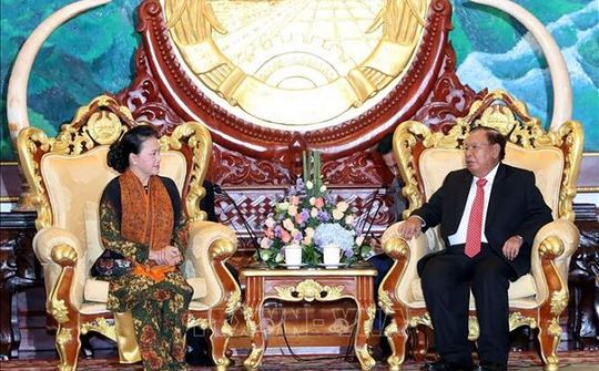 Chủ tịch Quốc hội Nguyễn Thị Kim Ngân hội kiến Tổng Bí thư, Chủ tịch nước Lào