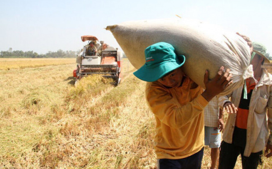 Sử dụng nguồn vốn tín dụng hiệu quả để thoát nghèo bền vững