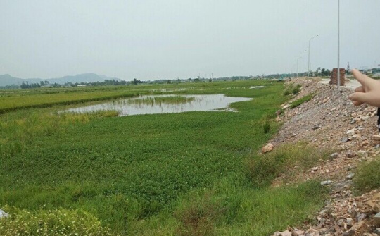 Thanh Hóa: Có hay không việc trưởng thôn tự ý chuyển ruộng của hộ dân ra nơi khác để ăn chặn tiền đền bù?
