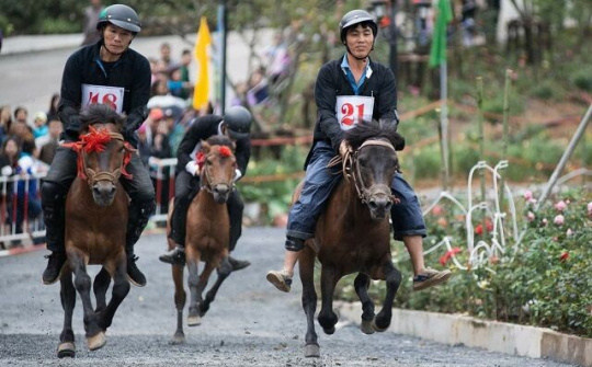 Vó ngựa trên mây lần thứ 2- những khoảnh khắc Tây Bắc say mê