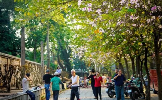 Triển lãm "Vì một Hà Nội đáng sống"