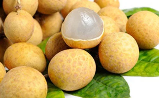 Ngày nhãn Việt Nam được tổ chức tại Úc
