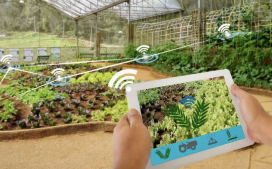 Việt Nam phấn đấu vào top 15 về nông nghiệp hữu cơ