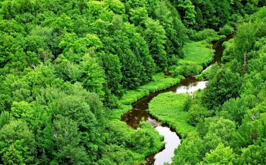 Khai thác rừng đặc dụng, phòng hộ có tiềm năng